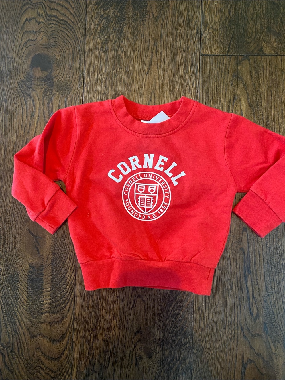 Baby Cornell Sweatshirt - 12m